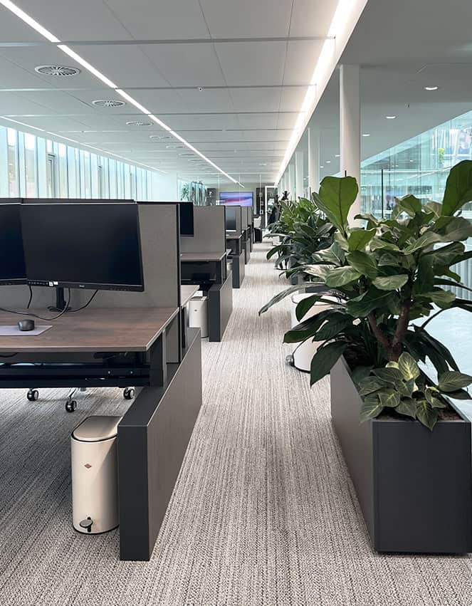 Interieurbeplanting kantoor met werkplekken